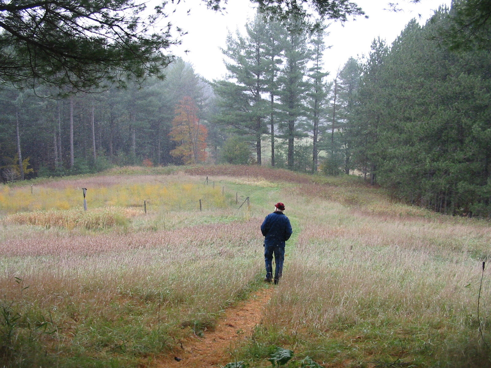 Peter A. Krusch Nature Preserve - fall